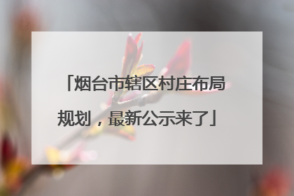 烟台市辖区村庄布局规划，最新公示来了