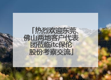 热烈欢迎东莞、佛山两地客户代表团莅临itc保伦股份考察交流