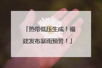 热带低压生成！福建发布暴雨预警！