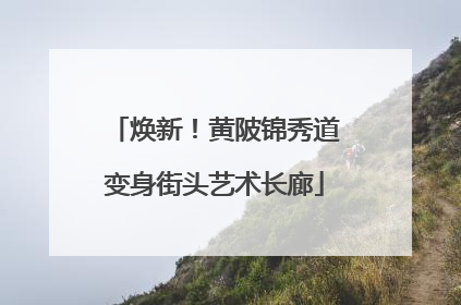焕新！黄陂锦秀道变身街头艺术长廊