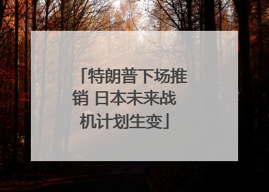 特朗普下场推销 日本未来战机计划生变