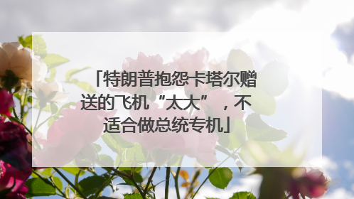 特朗普抱怨卡塔尔赠送的飞机“太大”，不适合做总统专机
