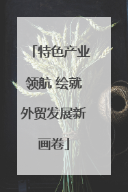 特色产业领航 绘就外贸发展新画卷