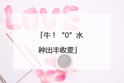牛！“0”水种出丰收麦