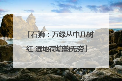 石狮：万绿丛中几树红 湿地荷塘韵无穷