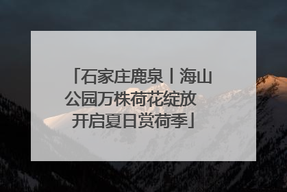 石家庄鹿泉丨海山公园万株荷花绽放 开启夏日赏荷季