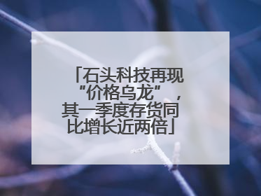 石头科技再现“价格乌龙”，其一季度存货同比增长近两倍