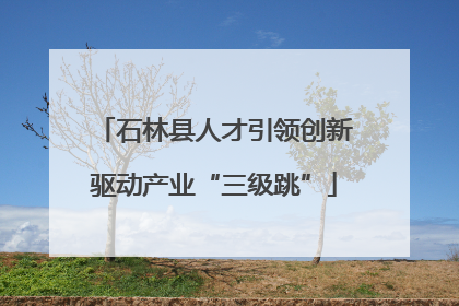 石林县人才引领创新驱动产业“三级跳”