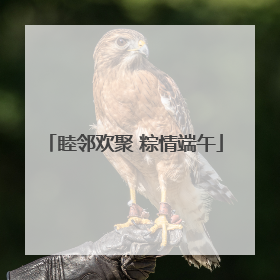 睦邻欢聚 粽情端午