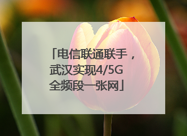 电信联通联手，武汉实现4/5G全频段一张网