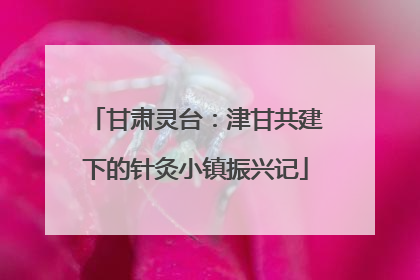 甘肃灵台：津甘共建下的针灸小镇振兴记