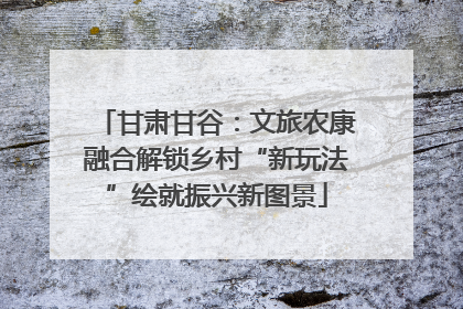 甘肃甘谷：文旅农康融合解锁乡村“新玩法”绘就振兴新图景