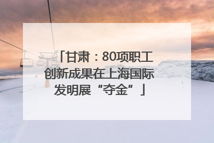 甘肃：80项职工创新成果在上海国际发明展“夺金”