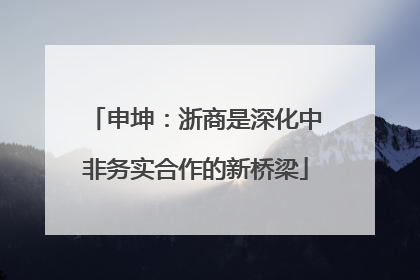 申坤：浙商是深化中非务实合作的新桥梁