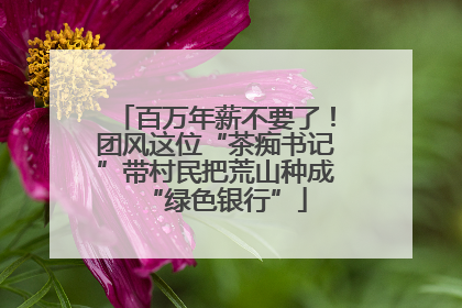 百万年薪不要了！团风这位“茶痴书记”带村民把荒山种成“绿色银行”