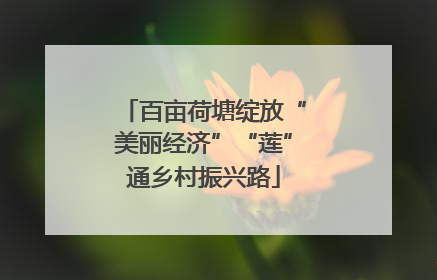 百亩荷塘绽放“美丽经济”“莲”通乡村振兴路