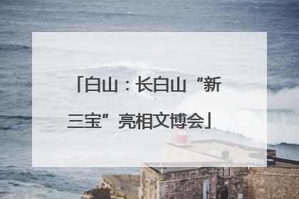 白山：长白山“新三宝”亮相文博会