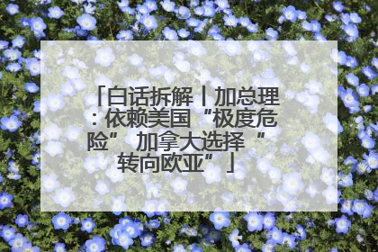 白话拆解丨加总理：依赖美国“极度危险” 加拿大选择“转向欧亚”