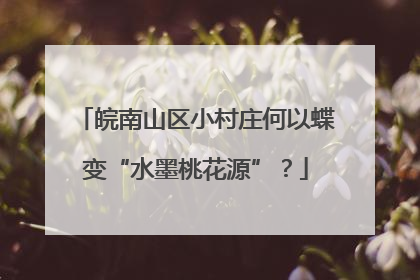 皖南山区小村庄何以蝶变“水墨桃花源”？