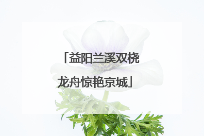 益阳兰溪双桡龙舟惊艳京城