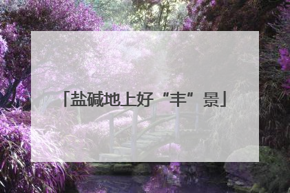 盐碱地上好“丰”景