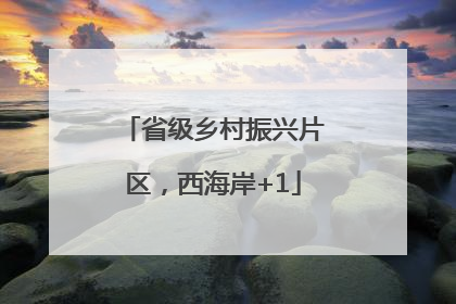 省级乡村振兴片区，西海岸+1
