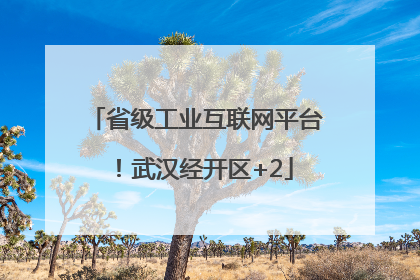 省级工业互联网平台！武汉经开区+2