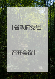 省政府党组召开会议