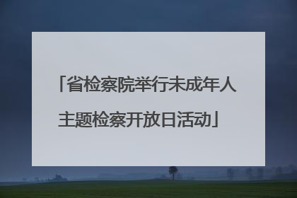 省检察院举行未成年人主题检察开放日活动