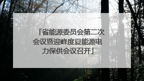 省能源委员会第二次会议暨迎峰度夏能源电力保供会议召开