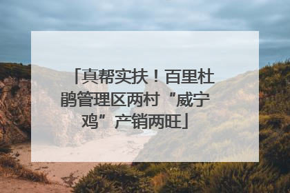 真帮实扶！百里杜鹃管理区两村“威宁鸡”产销两旺