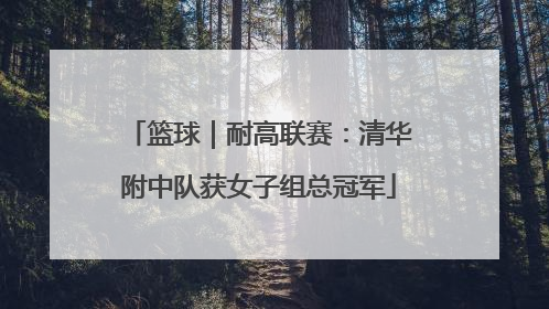 篮球｜耐高联赛：清华附中队获女子组总冠军