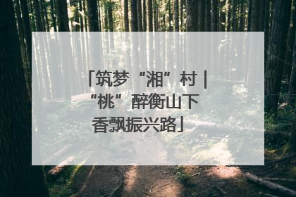 筑梦“湘”村｜“桃”醉衡山下 香飘振兴路