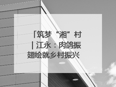 筑梦“湘”村｜江永：肉鸽振翅绘就乡村振兴“金羽画卷”