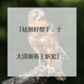 祛斑好帮手：十大淡斑卷王新宠