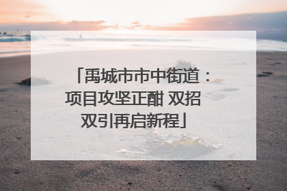 禹城市市中街道：项目攻坚正酣 双招双引再启新程