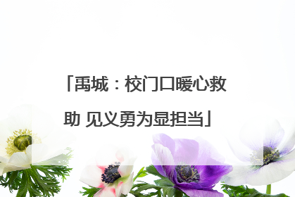 禹城：校门口暖心救助 见义勇为显担当