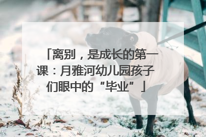 离别，是成长的第一课：月雅河幼儿园孩子们眼中的“毕业”