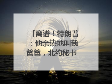 离谱！特朗普：他亲热地叫我爸爸，北约秘书长：我没有