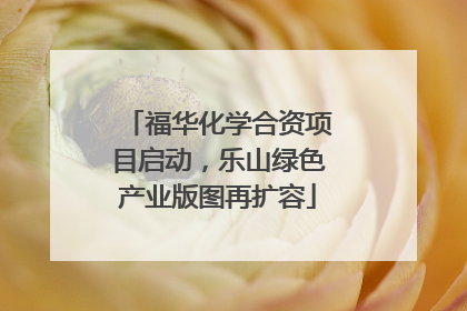 福华化学合资项目启动，乐山绿色产业版图再扩容