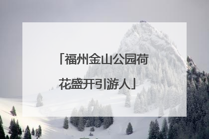 福州金山公园荷花盛开引游人
