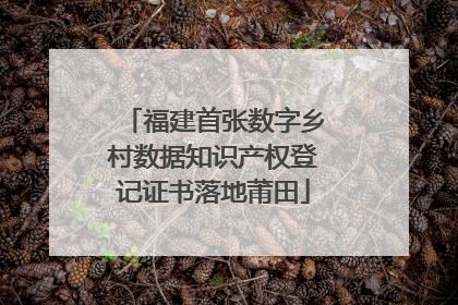 福建首张数字乡村数据知识产权登记证书落地莆田