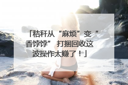 秸秆从“麻烦”变“香饽饽” 打捆回收这波操作太赚了！