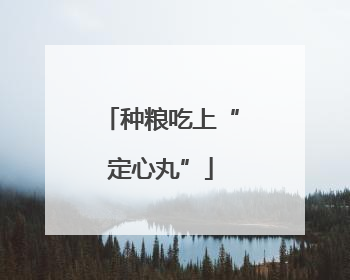 种粮吃上“定心丸”
