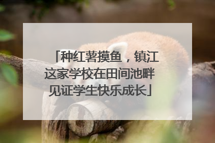 种红薯摸鱼，镇江这家学校在田间池畔见证学生快乐成长