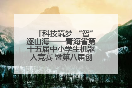 科技筑梦 “智”逐山海——青海省第十五届中小学生机器人竞赛 暨第八届创新设计大赛见闻
