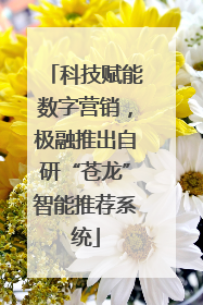 科技赋能数字营销，极融推出自研“苍龙”智能推荐系统