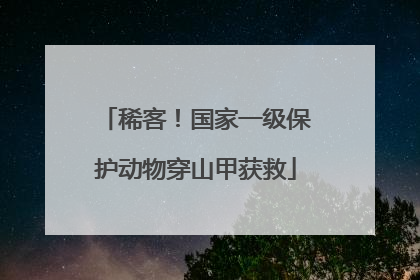 稀客！国家一级保护动物穿山甲获救