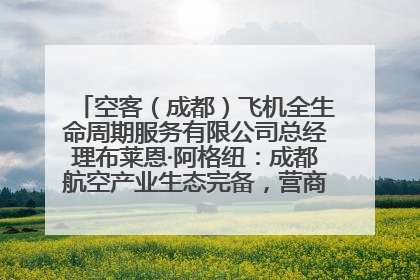 空客（成都）飞机全生命周期服务有限公司总经理布莱恩·阿格纽：成都航空产业生态完备，营商环境优势显著
