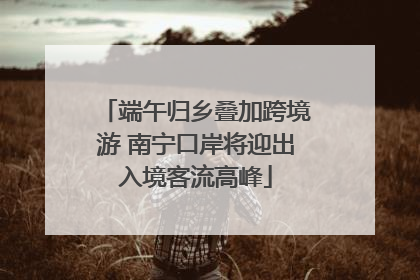 端午归乡叠加跨境游 南宁口岸将迎出入境客流高峰